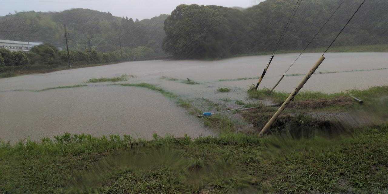 台風6号の大雨で冠水した笠名の田んぼ